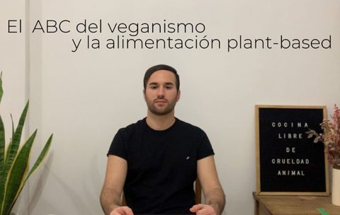 veganismo-banner-ajustado